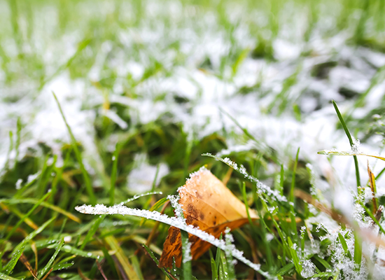 Garten fit für den Winter machen | AL-KO Gartenmagazin