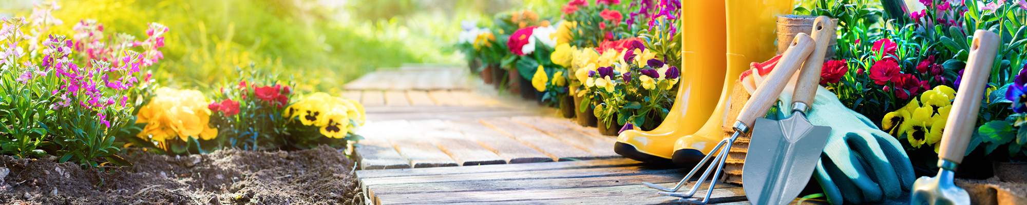 Die 10 gr&ouml;&szlig;ten Gartenmythen | AL-KO Gartenmagazin