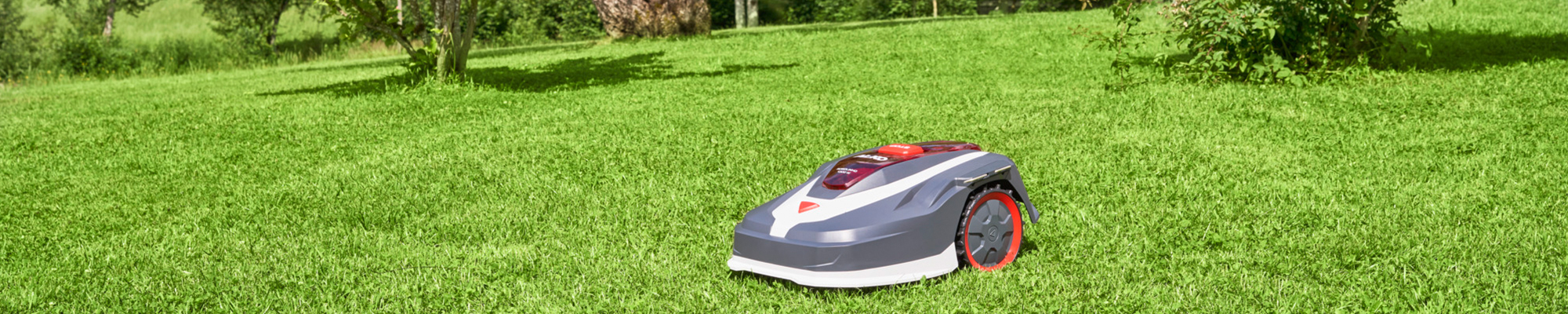 Robolinho® Mähroboter per IFTTT steuern | AL-KO Smart Garden