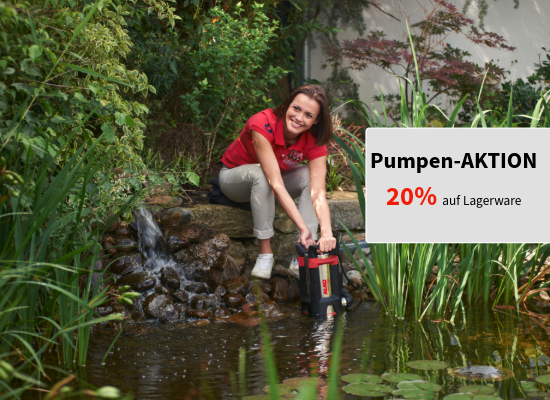 Wasserpumpenaktion 2026