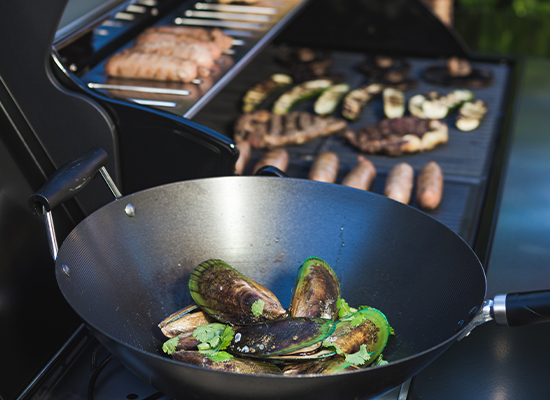 BBQ | AL-KO Masport Grill viele Grillflächen