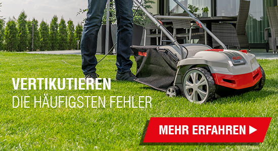 Rasen vertikutieren: Die häufigsten Fehler und wie man sie vermeidet