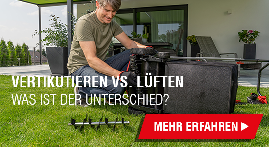 Rasen vertikutieren vs. lüften: Was ist der Unterschied?