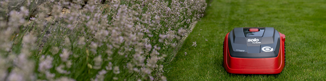 Bienenfreundlicher Garten | AL-KO Gartentipps