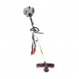 morepic-1