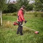 morepic-3