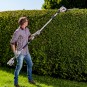 morepic-4