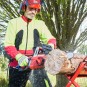 morepic-4