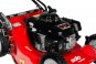 morepic-4
