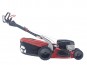 morepic-4
