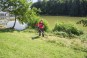 morepic-4