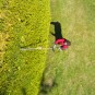morepic-5