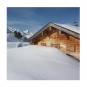 morepic-6