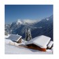 morepic-7