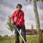 morepic-7