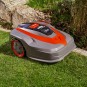 morepic-9